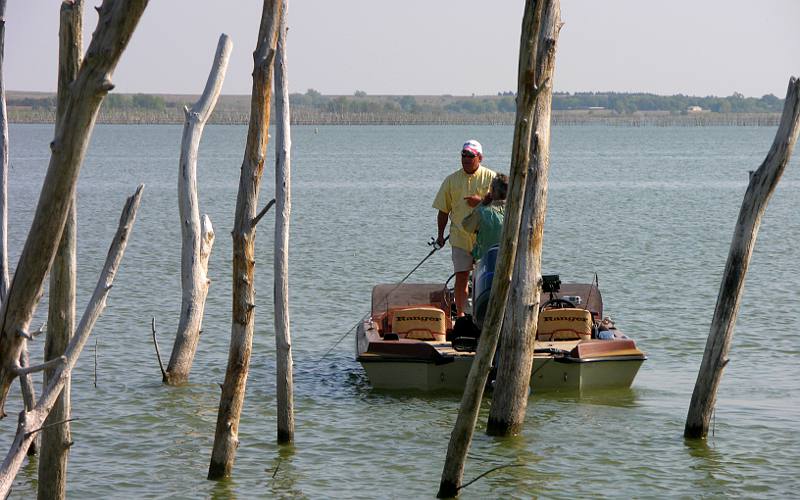 Fishing at Cedar Bluff Reservoir