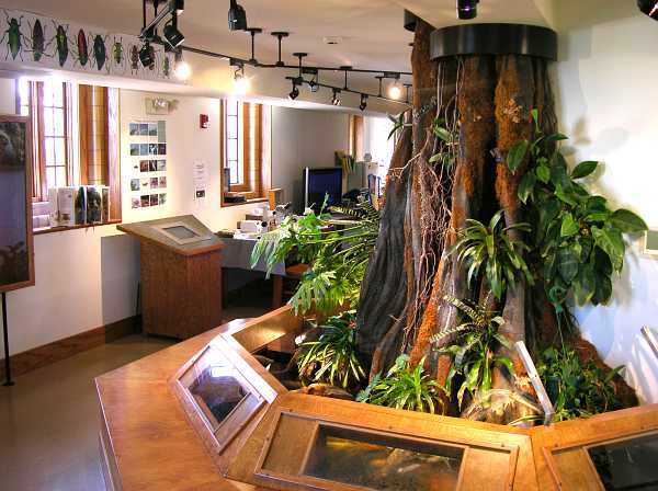 inside the Insect Zoo at KSU