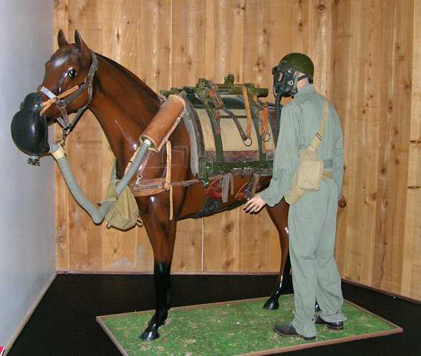 M5 Horse Gas Mask