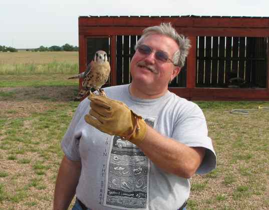 Keith Stokes with the American Kestrel