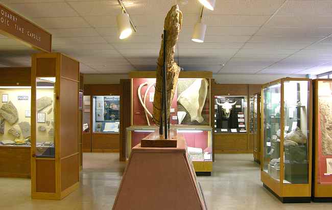 Johnston Geology Museum
