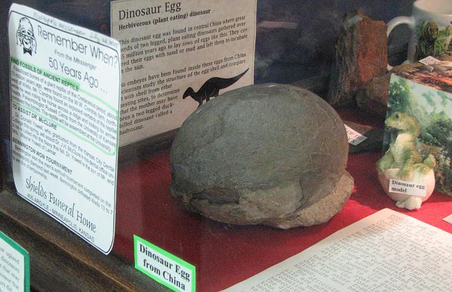 Dinosaur Egg from China