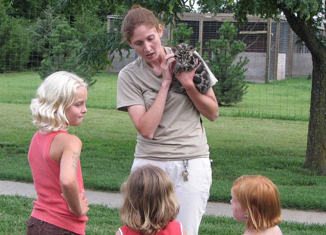 snow leopard cub at the Tanganyika zoo