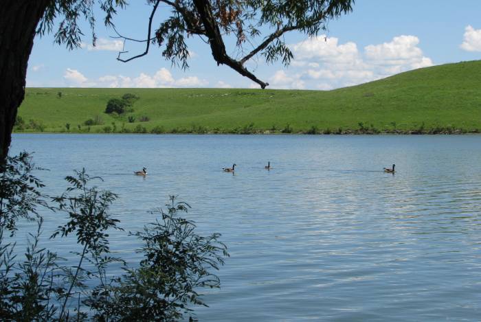 Chase State Fishing Lake