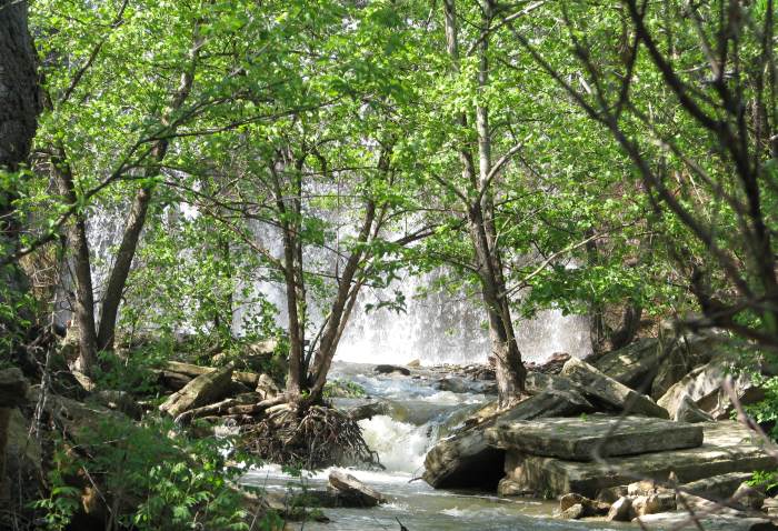 Cowley Lake Waterfall through the woods