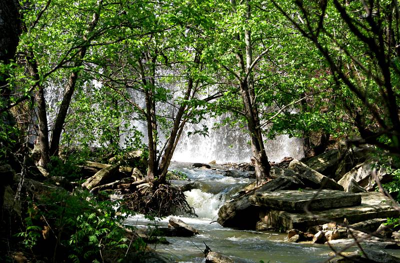 Cowley Lake Waterfall through the woods