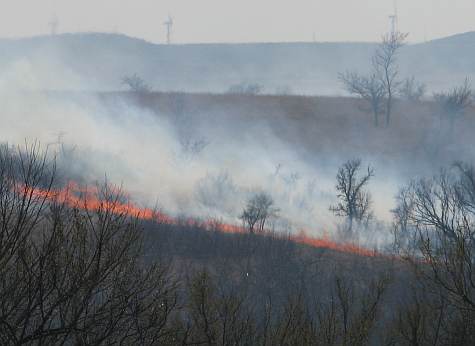 Prairie Fire Festival - Cottonwood Falls, Kansas