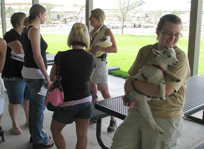 Petting a goat at Tanganyika