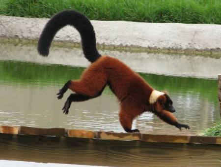 Tanganyika Wildlife Park - Goddard, Kansas