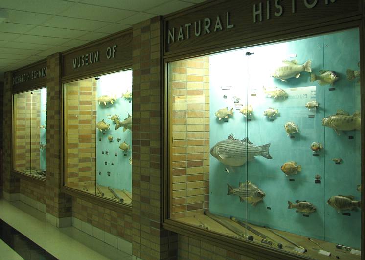 Kansas fish and reptile displays
