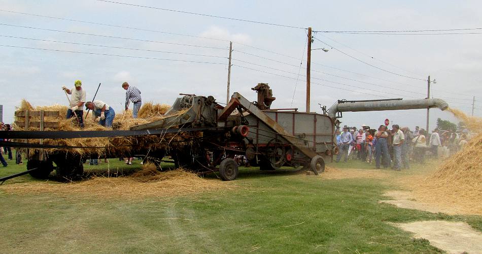 Threshing wheet at Prairiesta