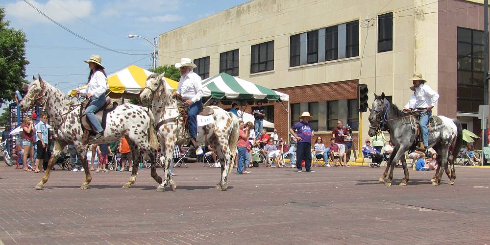 Appaloosa Horses - Prairiesta Parade