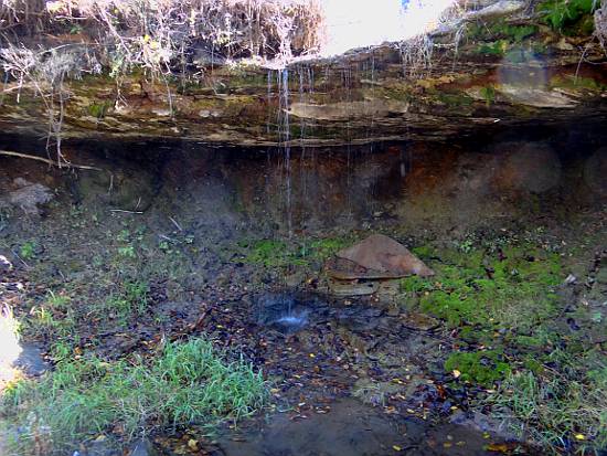 Elm Springs and Waterfall - Marion County, Kansas