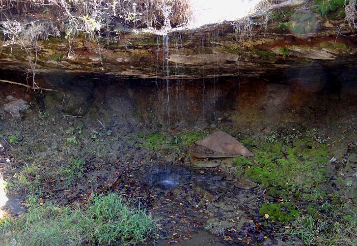 Elm Springs Waterfall