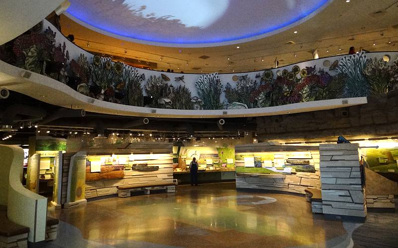 Center atrium of the FLint Hills Discovery Center