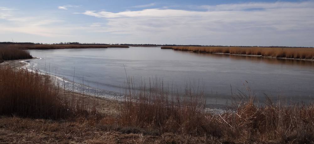 Marshland at Quivira National Wildlife Refuge