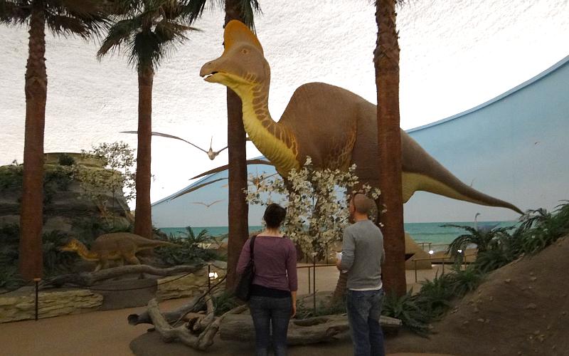 duck-billed Dinosaur at the Sterberg Museum  in Hays