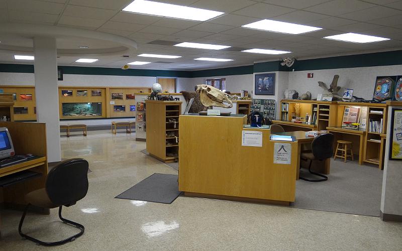 Sternberg Discovery Room