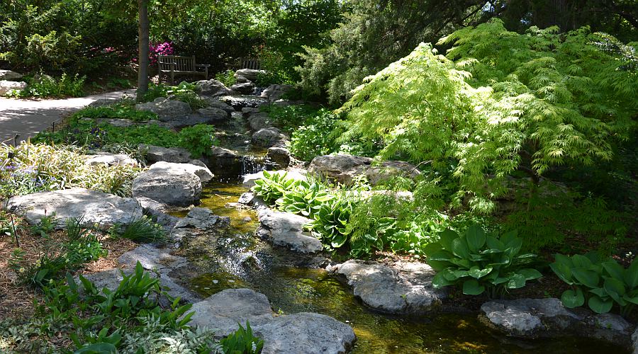 Wildflower Woodland - Botanica Wichita Gardens