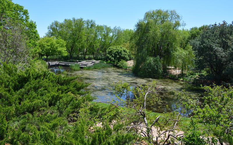 Jayne Milburn Aquatic Collection at Botanica, the Wichita Gardens