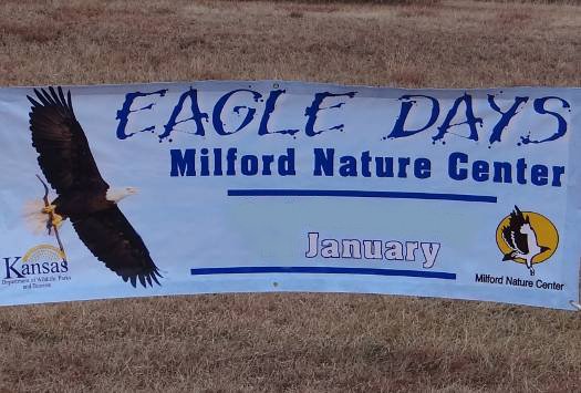 Eagle Day - Milford Nature Center