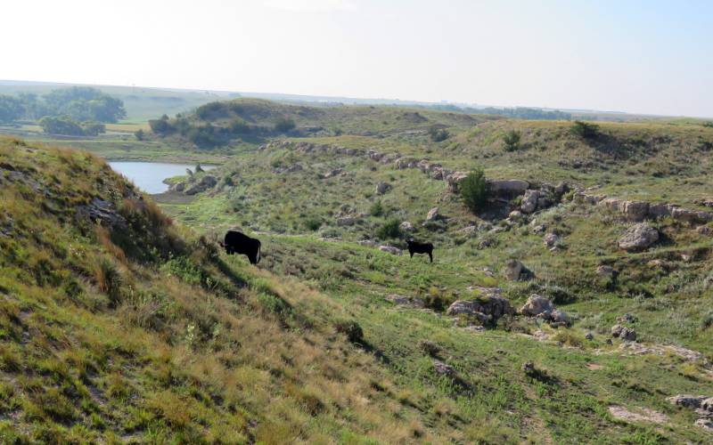 Pack Horse Canyon