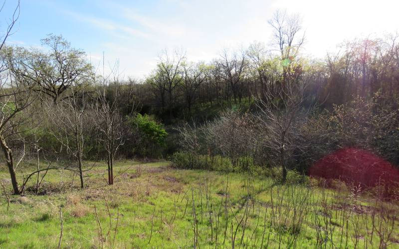 Marais des Cygnes Massacre State Historic Site - Pleasanton, Kansas