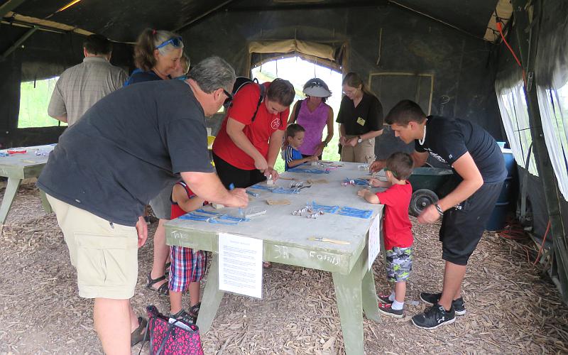 Paleontologists Laboratory at Field Station: Dinosaurs