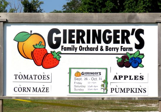 Gieringers Family Orchard and Berry Farm - Edgerton, Kansas