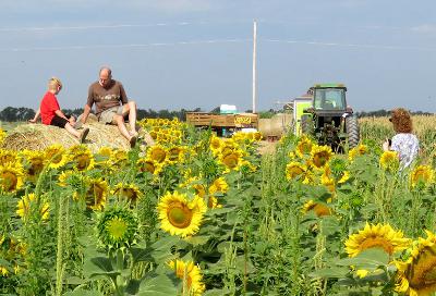 Klausmeyer Farm and Pumpkin Patch - Clearwater, Kansas