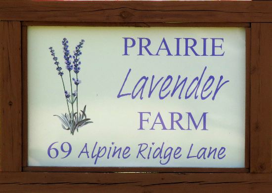 Prairie Lavender Farm - Bennington, Kansas