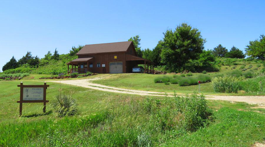 Prairie Lavender Farm