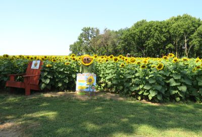 Walters Pumpkin Patch - Augusta, Kansas