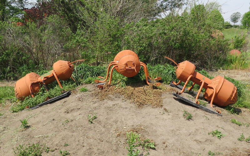 Ant hill with giant ants