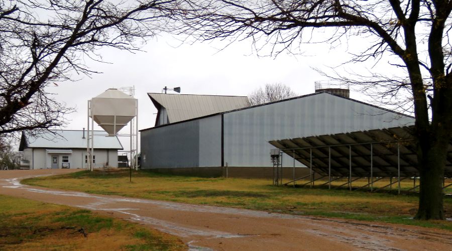 Grazing Plains Farm - east of Newton, Kansas