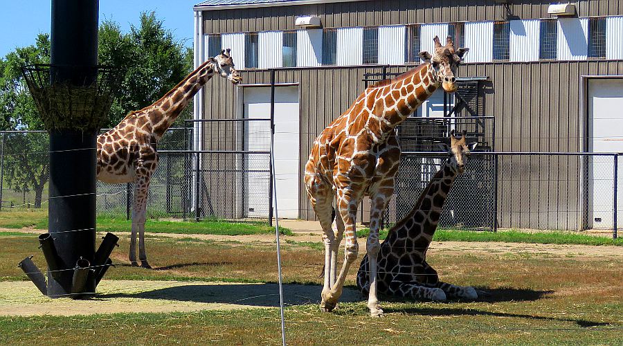 Rolling Hills Zoo