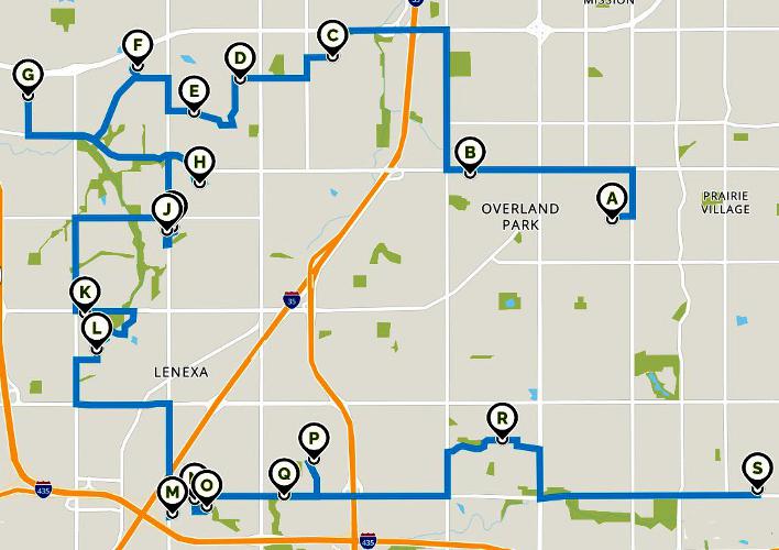 Kansas City Christmas Light Tour - north Johnson County