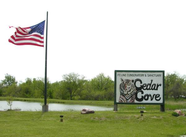 Cedar Cove Feline Conservatory and Sanctuary - Louisburg, KS