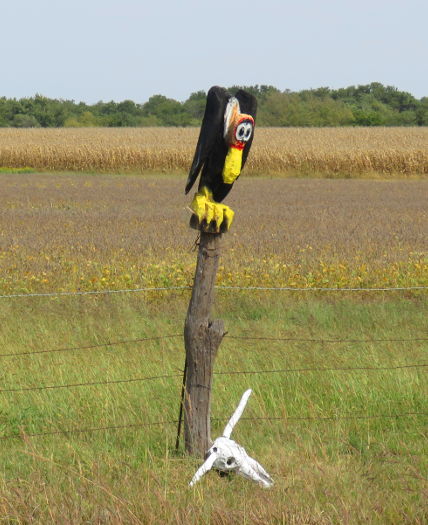 Buzzard