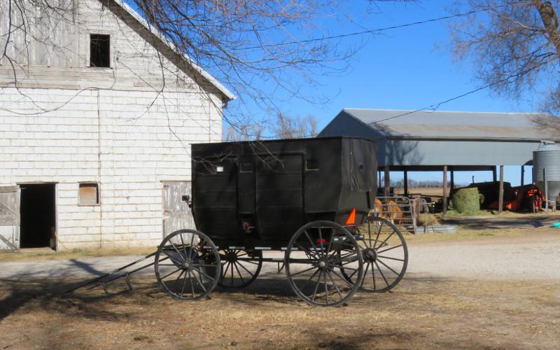 Glass Spring's Dairy Amish wagon