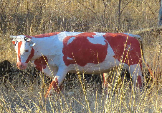 Lost Acres Ranch - Hutchinson, Kansas