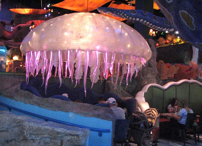 Gant jelly fish hovering over a booth at the T-Rex Cafe