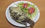 mojarra al mojo de jo - fish in garlic sauce