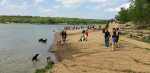 Shawnee Mission Park - off leash dog park