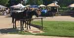 Amish wagon - Fort Scott, Kansas