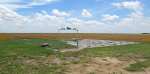 Amish Cemetery - Dodge City, Kansas