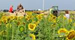 Klausmeyer Farm and Pumpkin Patch - Clearwater, Kansas