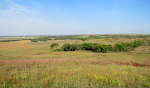 Mount Mitchell Heritage Prairie Preserve - Wamego, Kansas