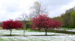 Craig Crossing Park - Lenexa, Kansas