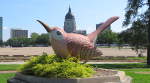 Giant wren - Topeka, Kansas